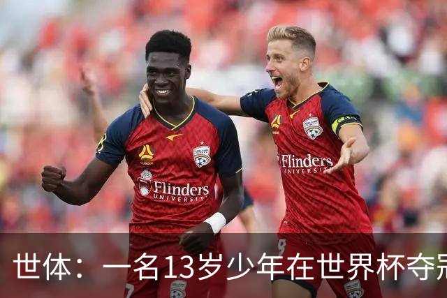 世体：一名13岁少年在世界杯夺冠庆祝活动中身亡