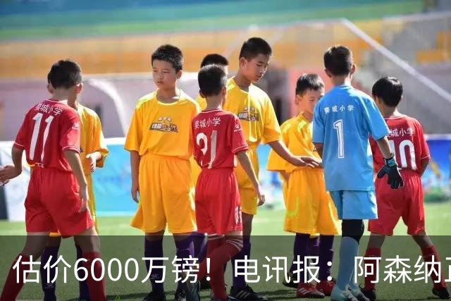 估价6000万镑！电讯报：阿森纳正关注维拉后卫孔萨