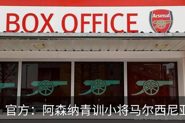 官方：阿森纳青训小将马尔西尼亚克加盟波兰球队克拉科维亚