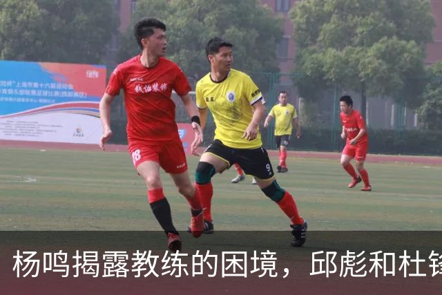 杨鸣揭露教练的困境，邱彪和杜锋的小团队行为是否成为自保策略？