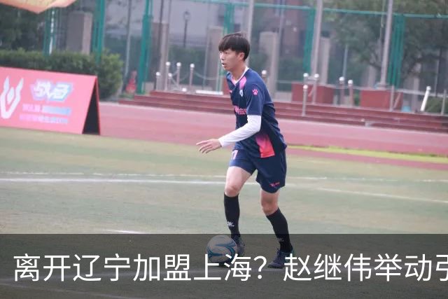 离开辽宁加盟上海？赵继伟举动引猜想，卢伟表态有深意 1队更合适